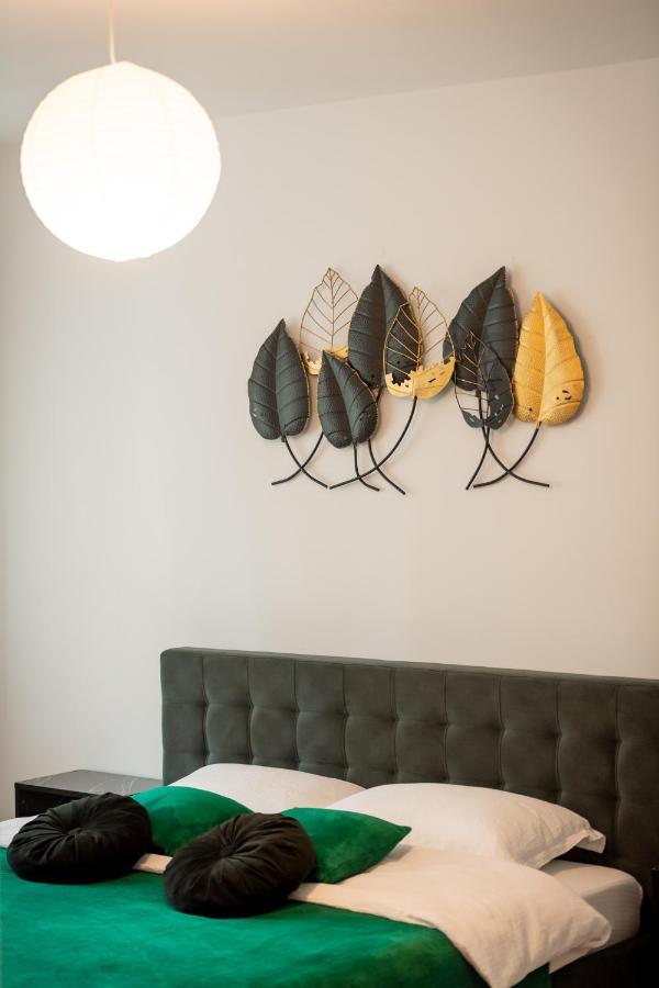 Coresi Vibe Studio Braşov Esterno foto