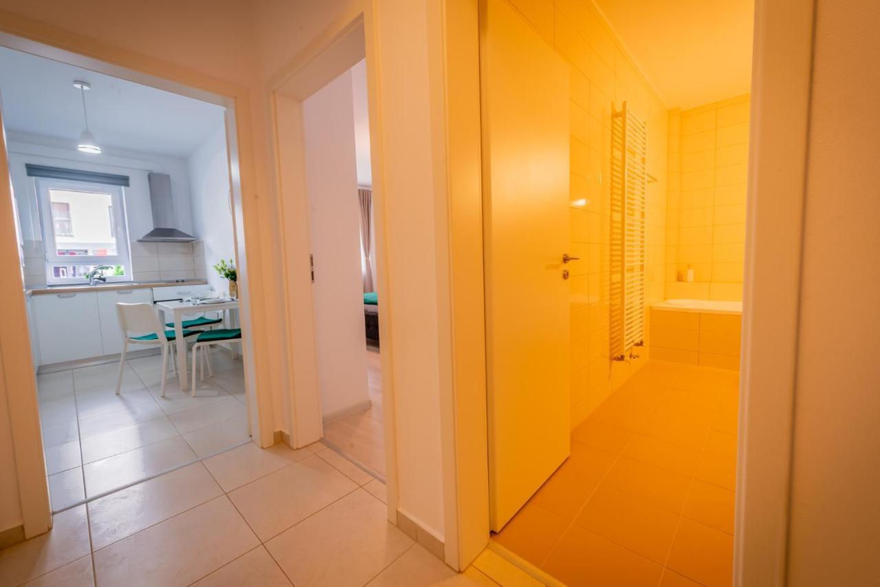 Coresi Vibe Studio Braşov Esterno foto